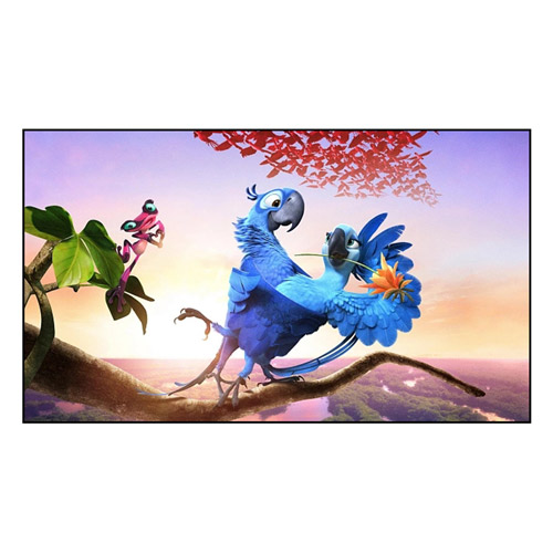 Hvordan forbedrer Fixed Frame Screen din seeroplevelse?